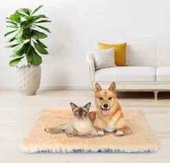 Nobleza Fluffy Benchkussen - Dierenkussen - Hondenkussen - Kattenkussen - Benchmat - Dierenmat - Hondenmat - Kattenmat - Crème - Maat L 20 Nobleza Fluffy Benchkussen - Dierenkussen - Hondenkussen - Kattenkussen - Benchmat - Dierenmat - Hondenmat - Kattenmat - Crème - Maat L -Huisdier Benodigdheden 1200x1156 5