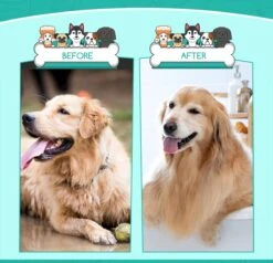 Nobleza 3 Delige Hondenborstel Set – Hondenkam - Kattenkam - Borstels – Dierverzorging - Dierenverzorging - Blauw -Huisdier Benodigdheden 1200x1157 1