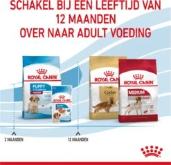 Royal Canin Medium Junior 15 KG 39 Royal Canin Medium Junior 15 KG -Huisdier Benodigdheden 1200x1159 12