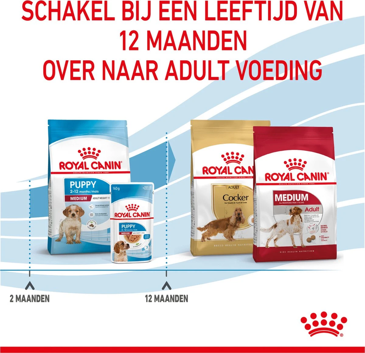 Royal Canin Medium Junior 15 KG 20 Royal Canin Medium Junior 15 KG - Afbeelding 18