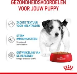 Royal Canin Shn Mini Puppy Pouch - Hondennatvoer - 12 X 85 G -Huisdier Benodigdheden 1200x1159 14