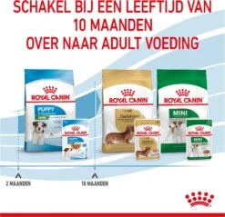 Royal Canin Shn Mini Puppy Pouch - Hondennatvoer - 12 X 85 G -Huisdier Benodigdheden 1200x1159 17