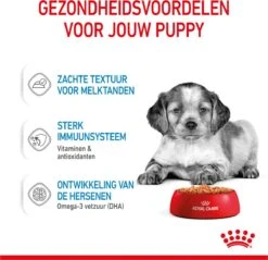 Royal Canin Shn Medium Puppy Pouch - Hondenvoer - 10 X 140 G -Huisdier Benodigdheden 1200x1159 22