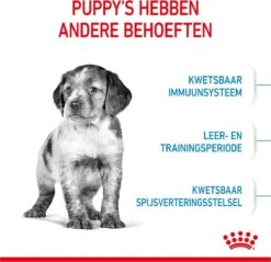 Royal Canin Medium Junior 15 KG 25 Royal Canin Medium Junior 15 KG -Huisdier Benodigdheden 1200x1159 6