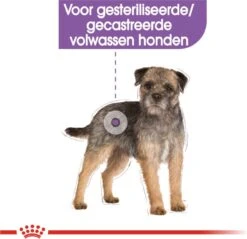 Royal Canin Ccn Sterilised Wet - Hondenvoer - 12x85 G -Huisdier Benodigdheden 1200x1160 15