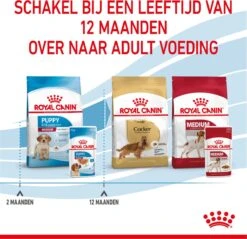 Royal Canin Shn Medium Puppy Pouch - Hondenvoer - 10 X 140 G -Huisdier Benodigdheden 1200x1160 16