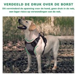 Mister Mill Hondentuigje 2x Klikgesp Maat M Grijs - Anti-Trek Tuig Hondenharnas - Y Tuig Hond Reflecterend -Huisdier Benodigdheden 1200x1160 5