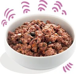 Edgard & Cooper Wild & Eend Blik - Voor Volwassen Honden - Hondenvoer - 12 X 400g -Huisdier Benodigdheden 1200x1166 13