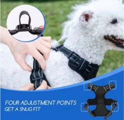 Nobleza 42ZHY - Hondenharnas - Hondentuigje - Anti Trek - L - Zwart 14 Nobleza 42ZHY - Hondenharnas - Hondentuigje - Anti Trek - L - Zwart -Huisdier Benodigdheden 1200x1166 9