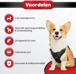 Purrr Fect Hondentuigje - Anti-Trek Tuig - Hondenharnas - Y Tuig Hond - Waterproof - Reflecterend - Verstelbaar - Maat M -Huisdier Benodigdheden 1200x1167 10