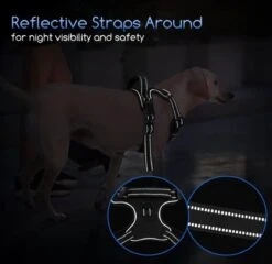 Nobleza 42ZHY - Hondenharnas - Hondentuigje - Anti Trek - L - Zwart 16 Nobleza 42ZHY - Hondenharnas - Hondentuigje - Anti Trek - L - Zwart -Huisdier Benodigdheden 1200x1167 13