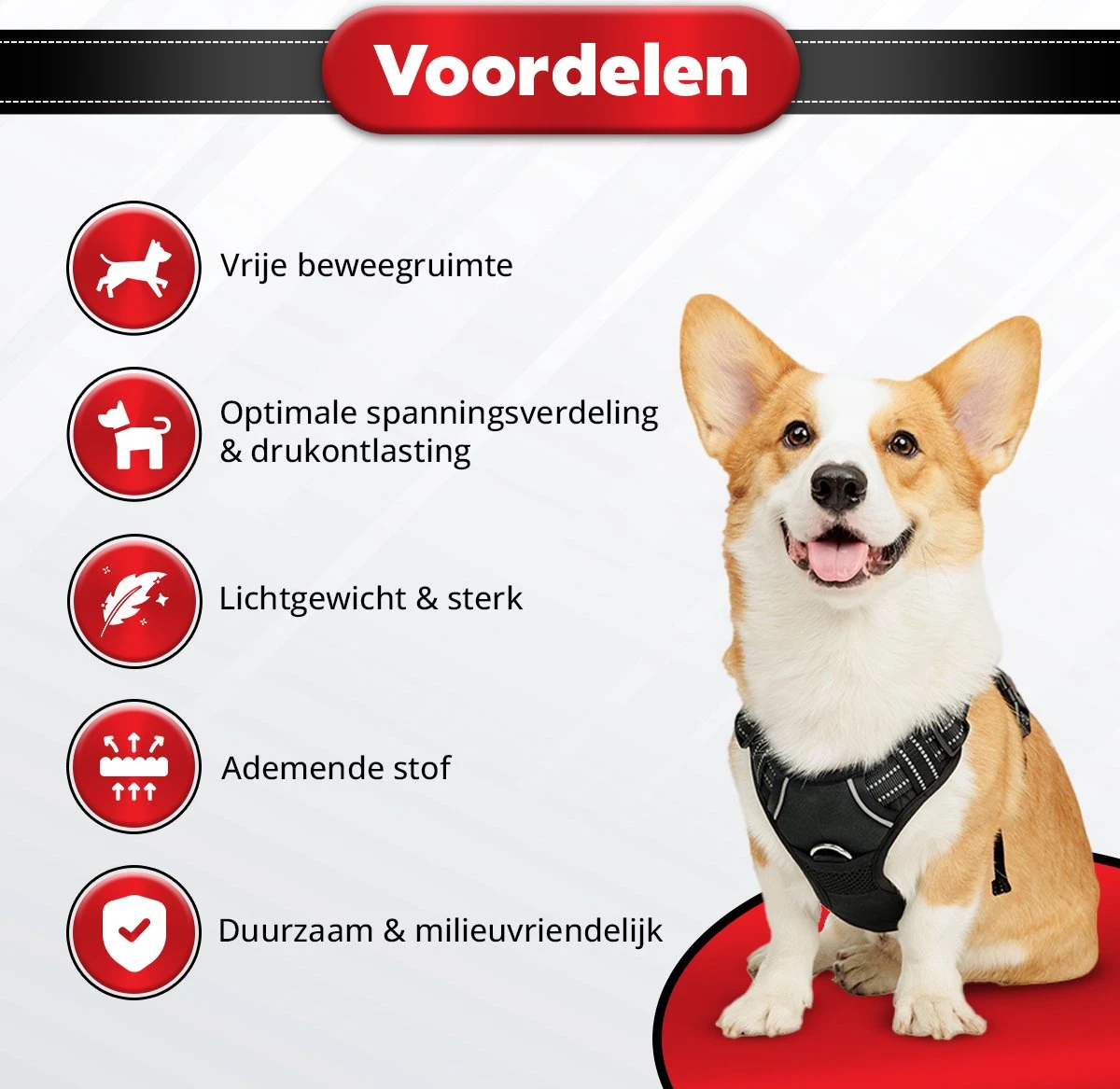 Purrr Fect Hondentuigje - Anti-Trek Tuig - Hondenharnas - Y Tuig Hond - Waterproof - Reflecterend - Verstelbaar - Maat L 8 Purrr Fect Hondentuigje - Anti-Trek Tuig - Hondenharnas - Y Tuig Hond - Waterproof - Reflecterend - Verstelbaar - Maat L - Afbeelding 6