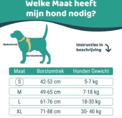 Mmoods Hondentuigje Grijs - Anti-Trek Tuig Voor Puppy's - Hondenharnas Voor Kleine Honden - Reflecterende Halsband Hond - Hondenhalsband Maat S -Huisdier Benodigdheden 1200x1167 19