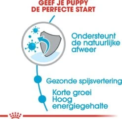 Royal Canin Medium Junior 15 KG 26 Royal Canin Medium Junior 15 KG -Huisdier Benodigdheden 1200x1169 6