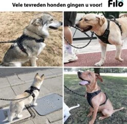 Filo Anti Trek Hondentuig L Met Hondenriem - Y Tuig Hond - Easy Walk Hondenharnas Large + Hondenlijn - Hondentuigje Verstelbaar - Leiband - Honden Tuigje - Riem -Huisdier Benodigdheden 1200x1170 4