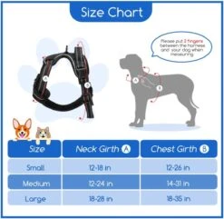 Nobleza 42ZHY - Hondenharnas - Hondentuigje - Anti Trek - L - Zwart 13 Nobleza 42ZHY - Hondenharnas - Hondentuigje - Anti Trek - L - Zwart -Huisdier Benodigdheden 1200x1172 3