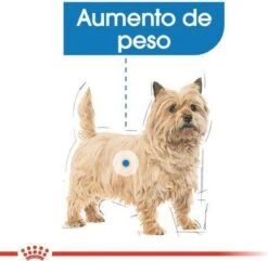 Royal Canin Mini Light 8 KG 22 Royal Canin Mini Light 8 KG -Huisdier Benodigdheden 1200x1172 4