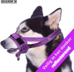 Sharon B Muilkorf Paars Maat M - Fleece - Wasbaar - Reflecterend 12 Sharon B Muilkorf Paars Maat M - Fleece - Wasbaar - Reflecterend -Huisdier Benodigdheden 1200x1173 2
