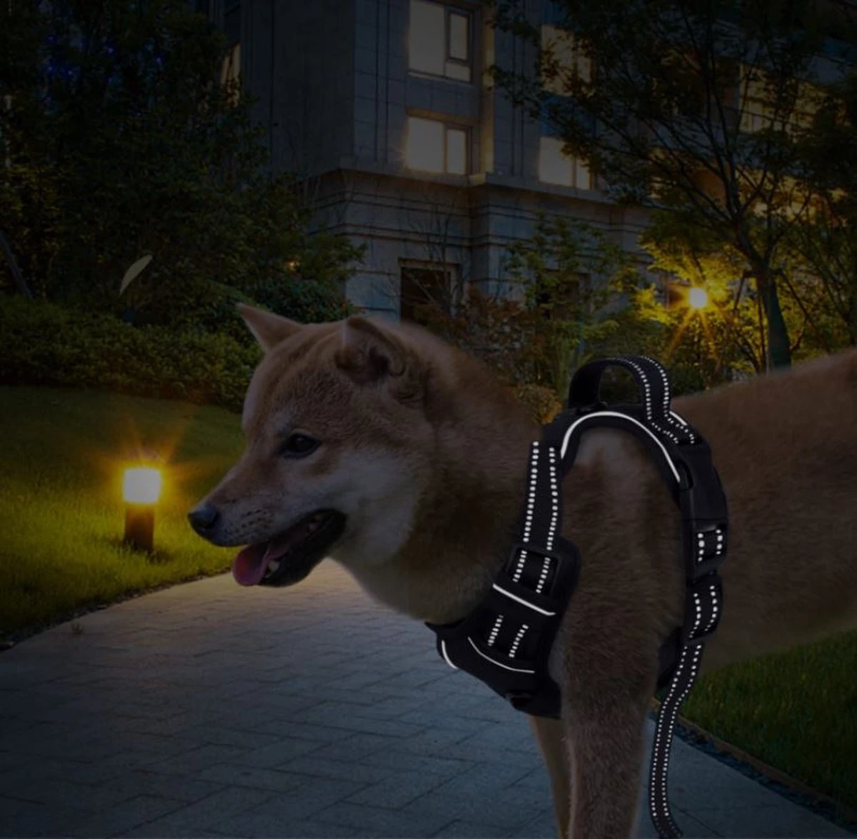 Nobleza 42ZHY - Hondenharnas - Hondentuigje - Anti Trek - L - Zwart 8 Nobleza 42ZHY - Hondenharnas - Hondentuigje - Anti Trek - L - Zwart - Afbeelding 6