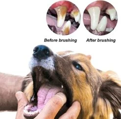 Doodadeals® 4 Stuks Siliconen Honden Tandenborstel - Tanden Borstel Hond - Silicone Dog Tootbrush - Multikleur -Huisdier Benodigdheden 1200x1175 8