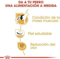 Royal Canin French Bulldog Adult 9 KG -Huisdier Benodigdheden 1200x1180 5