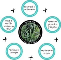 Greenfields Vacht Verzorging Set Voor Honden Shampoo, Conditioner & Droogshampoo 13 Greenfields Vacht Verzorging Set Voor Honden Shampoo, Conditioner & Droogshampoo -Huisdier Benodigdheden 1200x1182