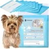 Springos Puppy Training Pads| Plasmatjes Hond | Zindelijkheidstraining | 10 Stuks | 35 X 45 Cm 1 Springos Puppy Training Pads| Plasmatjes Hond | Zindelijkheidstraining | 10 Stuks | 35 X 45 Cm -Huisdier Benodigdheden 1200x1185