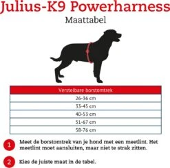 Julius K9 K9®Powertuig, M - Maat 0, Zwart -Huisdier Benodigdheden 1200x1189 5