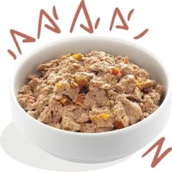 11x Edgard & Cooper Kuipje Vers Vlees Senior Hondenvoer Kip - Zalm 150 Gr 16 11x Edgard & Cooper Kuipje Vers Vlees Senior Hondenvoer Kip - Zalm 150 Gr -Huisdier Benodigdheden 1200x1198 18