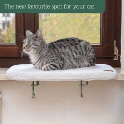 Pfotenolymp® Premium Window Baars/Krabmat Voor Katten Bij Het Raam - Vensterbank/Kattenbank Voor De Vensterbank - Zit/Ligstoel Voor Katten -Huisdier Benodigdheden 1200x1199 13