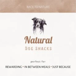 Antos Kippenpoten Gedroogd Kip 1 Kg -Huisdier Benodigdheden 1200x1199 7