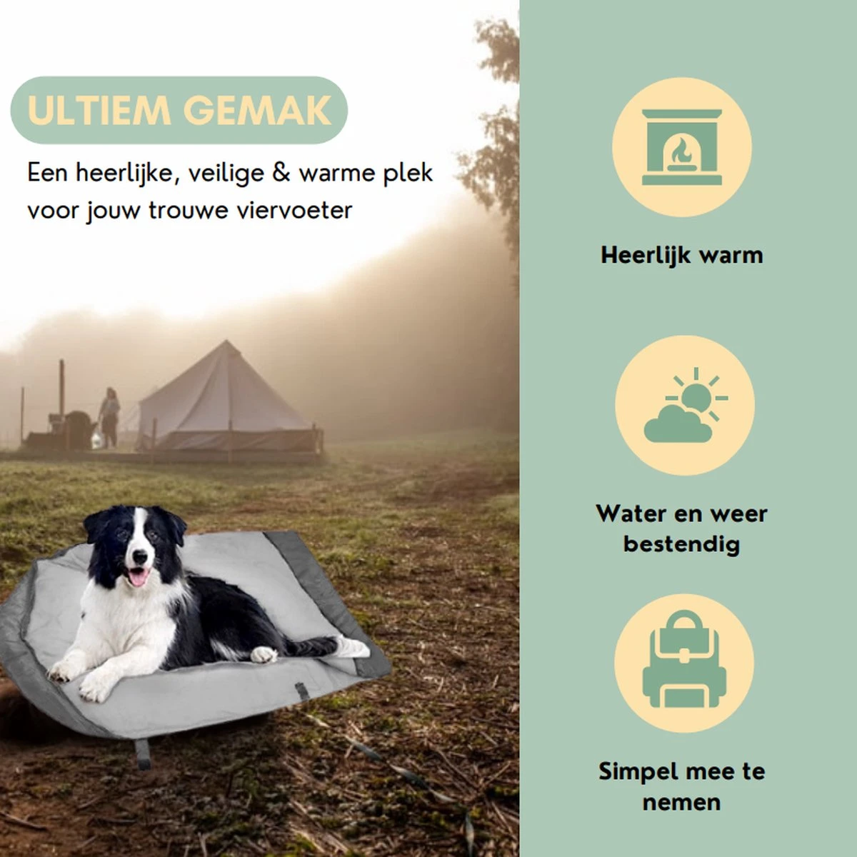 Bolobo | Hondenslaapzak - Dierenslaapzak - Hondencave - Hondenmand Cave - Cozy Cave - Slaapzak Hond - Hondenmand - Hondenkussen - Travelbag - Dentalsticks - Kampeerslaapzak 5 Bolobo | Hondenslaapzak - Dierenslaapzak - Hondencave - Hondenmand Cave - Cozy Cave - Slaapzak Hond - Hondenmand - Hondenkussen - Travelbag - Dentalsticks - Kampeerslaapzak - Afbeelding 3