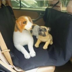 Merkloos Hondendeken / Hondenkleed / Beschermhoes - Voor In De Auto Achterbank Of Kofferbak - 137x147 Cm - Beschermhoes - Waterdicht - Zwart 21 Merkloos Hondendeken / Hondenkleed / Beschermhoes - Voor In De Auto Achterbank Of Kofferbak - 137x147 Cm - Beschermhoes - Waterdicht - Zwart -Huisdier Benodigdheden 1200x1200 1047