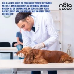 Nola & Coco® Tandsteen Verwijderaar Set Inclusief Bewaardoosje - Tandenkrabber - Set Van Twee - Hond - Kat - Tandenborstel - Tandplak Verwijderen - Tandenstoker - Honden Tanden Schoonmaken - Tandenhaakje - Gebitsreiniging -Huisdier Benodigdheden 1200x1200 1057