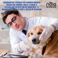 Nola & Coco® Tandsteen Verwijderaar Set Inclusief Bewaardoosje - Tandenkrabber - Set Van Twee - Hond - Kat - Tandenborstel - Tandplak Verwijderen - Tandenstoker - Honden Tanden Schoonmaken - Tandenhaakje - Gebitsreiniging -Huisdier Benodigdheden 1200x1200 1058