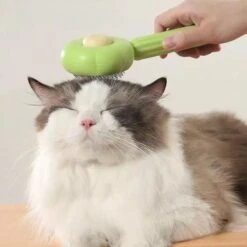 QT Petshop - Haarverwijderaar Voor Huisdieren - Groene Kattenborstel - Furminator Hondenborstel - Anti-Klit - Diervriendelijk - Dierenverzorging -Huisdier Benodigdheden 1200x1200 106