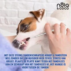 Nola & Coco® Tandsteen Verwijderaar Set Inclusief Bewaardoosje - Tandenkrabber - Set Van Twee - Hond - Kat - Tandenborstel - Tandplak Verwijderen - Tandenstoker - Honden Tanden Schoonmaken - Tandenhaakje - Gebitsreiniging -Huisdier Benodigdheden 1200x1200 1060