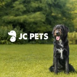 JC Pets Premium Pluizenborstel - Huisdierhaar Verwijderaar – Pluizenverwijderaar – Honden En Kattenhaar Verwijderaar - Ontpluizer - Pluizenroller -Huisdier Benodigdheden 1200x1200 119