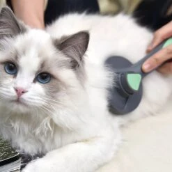 Pakeway Kattenborstel – Hondenborstel – Haarverwijderaar Voor Huisdieren – Kattenkam - Kortharig - Langharig - Inclusief Ebook! 12 Pakeway Kattenborstel – Hondenborstel – Haarverwijderaar Voor Huisdieren – Kattenkam - Kortharig - Langharig - Inclusief Ebook! -Huisdier Benodigdheden 1200x1200 157