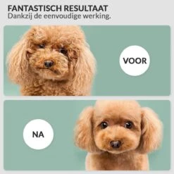 Krachtige Hondenföhn/ Waterblazer Met Draaiknop Om Overtollig Water En Stof Snel Uit De Vacht Te Blazen | Verstelbare Vermogen Standen (500W Tot 2200W) En Verstelbare Temperatuur - Type B Oranje -Huisdier Benodigdheden 1200x1200 190