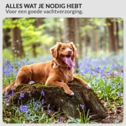 Krachtige Hondenföhn/ Waterblazer Met Draaiknop Om Overtollig Water En Stof Snel Uit De Vacht Te Blazen | Verstelbare Vermogen Standen (500W Tot 2200W) En Verstelbare Temperatuur - Type B Oranje -Huisdier Benodigdheden 1200x1200 191