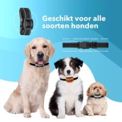 PET DOG® | Anti Blafband Voor Honden | 3 T/m 60 Kg | Oplaadbaar | Anti Blaf Band | Trainingsband | Vibratie En Geluid | Diervriendelijk | Shock Aan/uit Instelbaar -Huisdier Benodigdheden 1200x1200 243