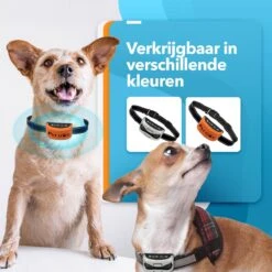 PET DOG® | Anti Blafband Voor Honden | 3 T/m 60 Kg | Oplaadbaar | Anti Blaf Band | Trainingsband | Vibratie En Geluid | Diervriendelijk | Shock Aan/uit Instelbaar -Huisdier Benodigdheden 1200x1200 245
