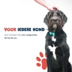 Anti Blafband - Blafband Voor Honden - Anti Blaf Apparaat - Blafband - Diervriendelijk & Zonder Schok -Huisdier Benodigdheden 1200x1200 252