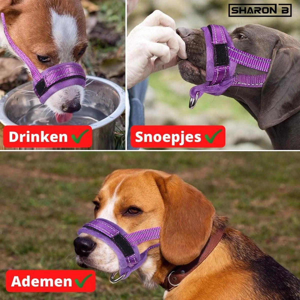 Sharon B Muilkorf Paars Maat M - Fleece - Wasbaar - Reflecterend 7 Sharon B Muilkorf Paars Maat M - Fleece - Wasbaar - Reflecterend - Afbeelding 5