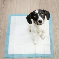 Springos Puppy Training Pads| Plasmatjes Hond | Zindelijkheidstraining | 10 Stuks | 35 X 45 Cm -Huisdier Benodigdheden 1200x1200 266