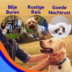 MyPets™ Anti-blafband - Anti Blaf Apparaat - Voor Kleine Honden En Grote Honden - Diervriendelijk - Opvoedingshalsband - Trainingshalsband - 2022/2023 Versie - Inclusief Batterijen -Huisdier Benodigdheden 1200x1200 285