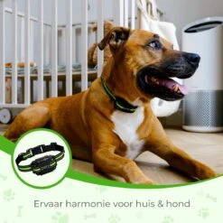 Petz - Anti Blafband - Anti Blafband Voor Kleine En Grote Honden - 5-55 KG - Vibratie En Audio - Diervriendelijk - GEEN Schokken - Opvoedingshalsband Zonder Schok En Diervriendelijk - Waterdicht - Oplaadbaar -Huisdier Benodigdheden 1200x1200 289