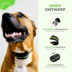 Petz - Anti Blafband - Anti Blafband Voor Kleine En Grote Honden - 5-55 KG - Vibratie En Audio - Diervriendelijk - GEEN Schokken - Opvoedingshalsband Zonder Schok En Diervriendelijk - Waterdicht - Oplaadbaar -Huisdier Benodigdheden 1200x1200 290