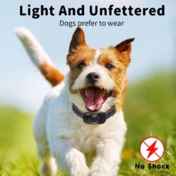 NIIYEBU Anti Blafband - Blafbanden Voor Honden - Anti Blaf Apparaat - Diervriendelijk - Zonder Schok - Vibratie En Audio -Huisdier Benodigdheden 1200x1200 296